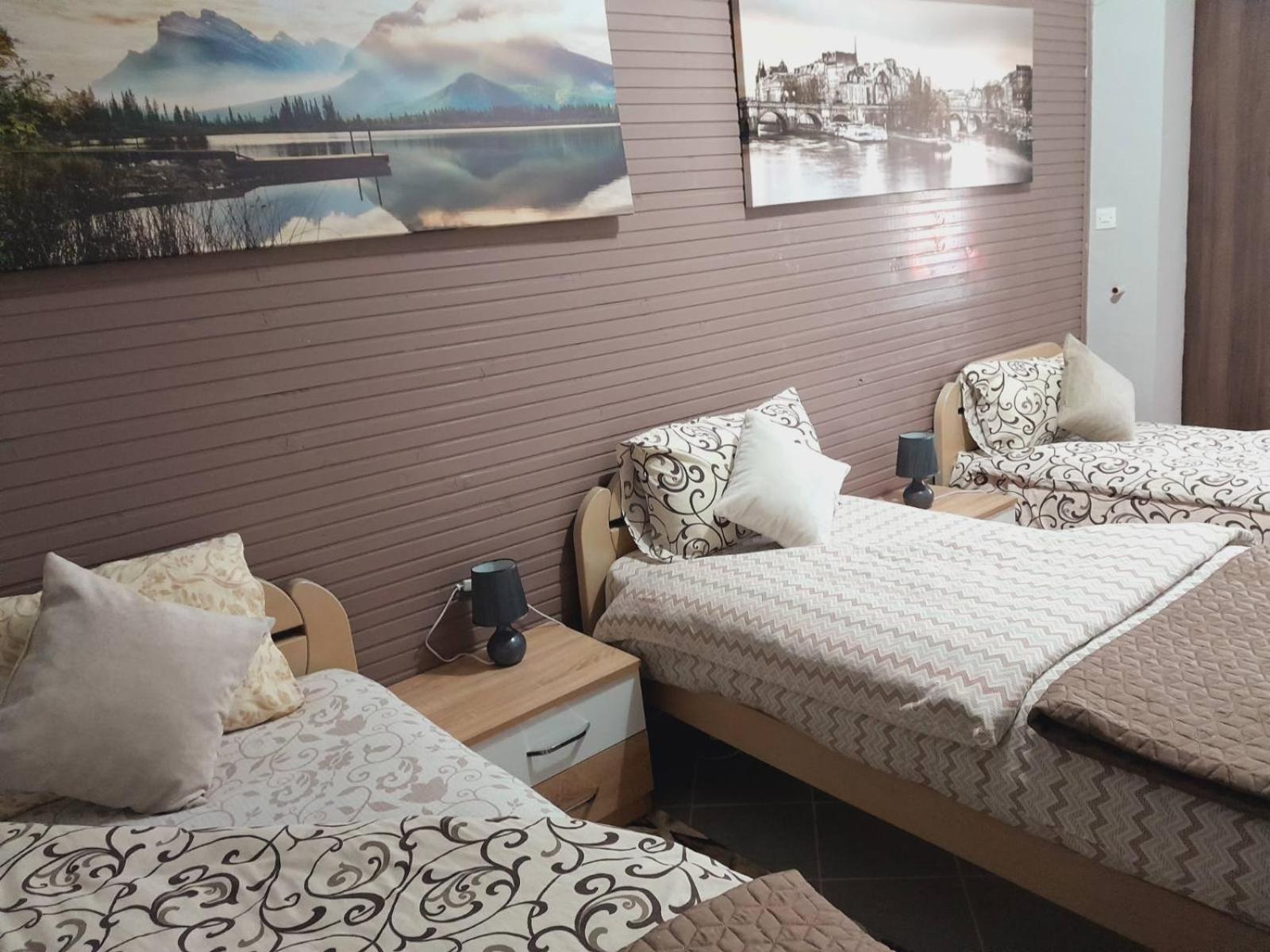 סטינג'ה Apartman Radoman מראה חיצוני תמונה