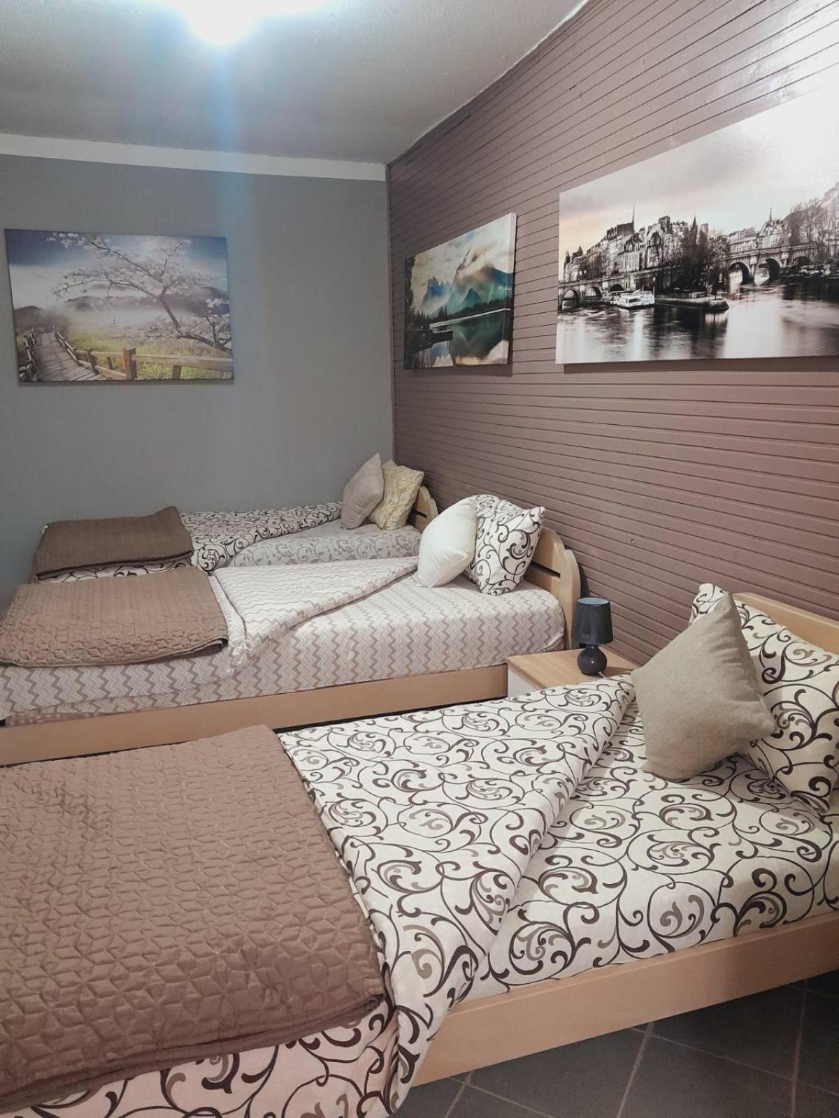 סטינג'ה Apartman Radoman מראה חיצוני תמונה